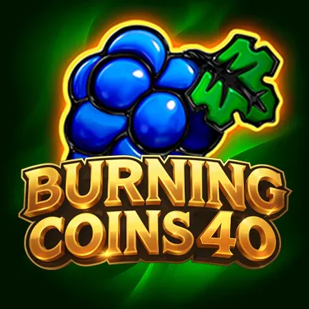 jeu Burning Coins 40 · Wolfy Casino
